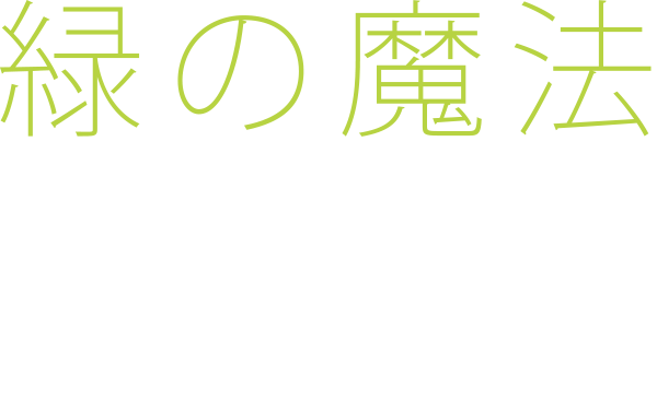 緑の魔法 Power of Green 人と植物のつながりをつくる。Biophilic Design　-バイオフィリックデザイン-